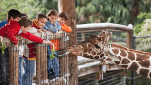 Read more about the article 40 best zoo captions for instagram!