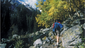 Read more about the article 200 Thrilling Hiking Quotes for you!