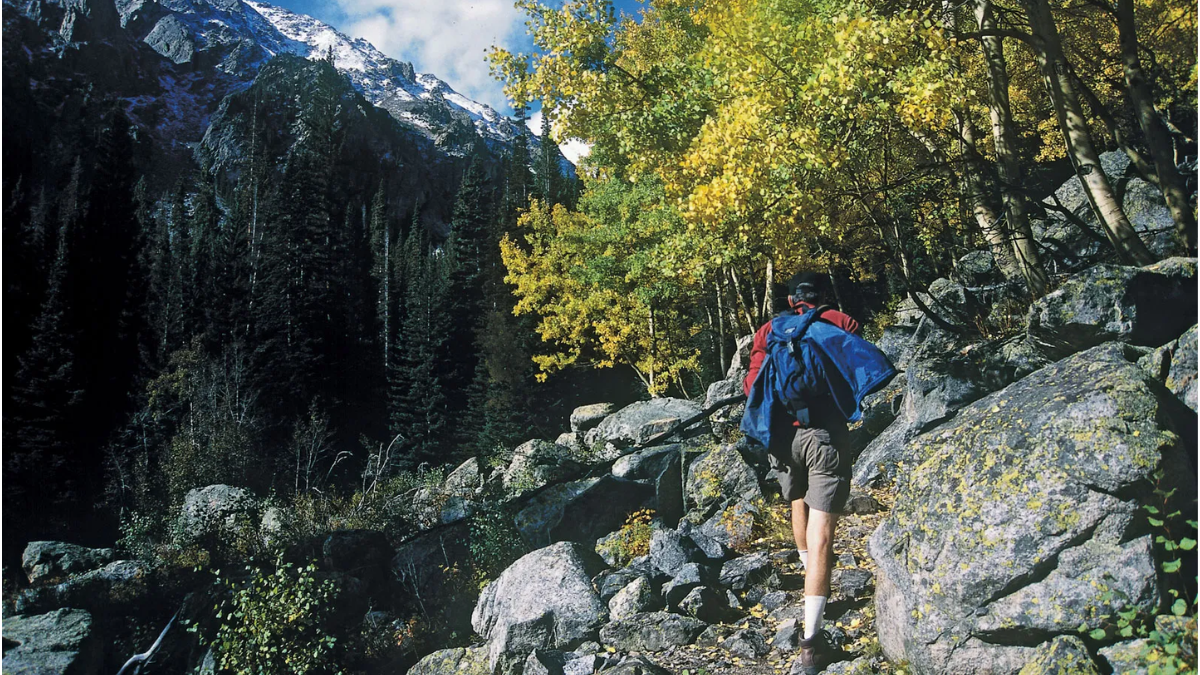 Read more about the article 200 Thrilling Hiking Quotes for you!