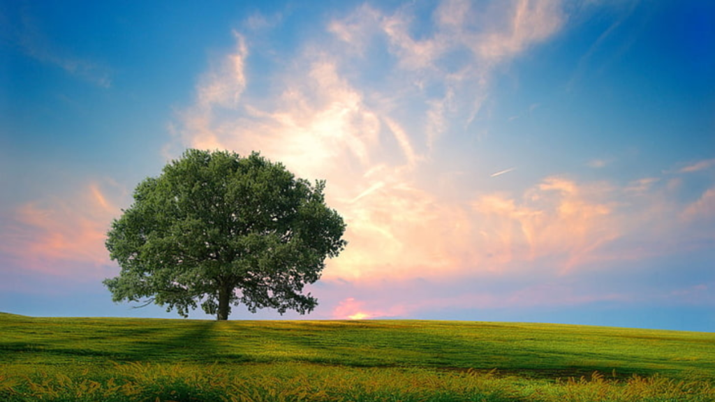 Biblical Good Morning Quotes