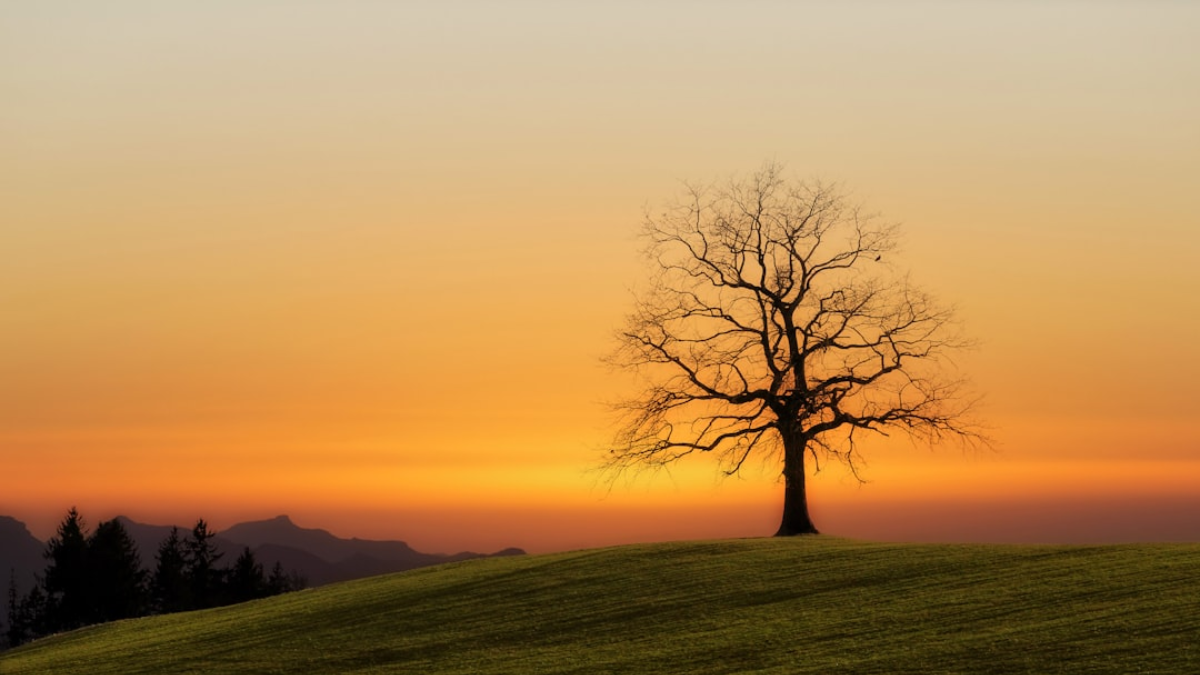 Read more about the article 40 Positive Biblical Good Morning Quotes!